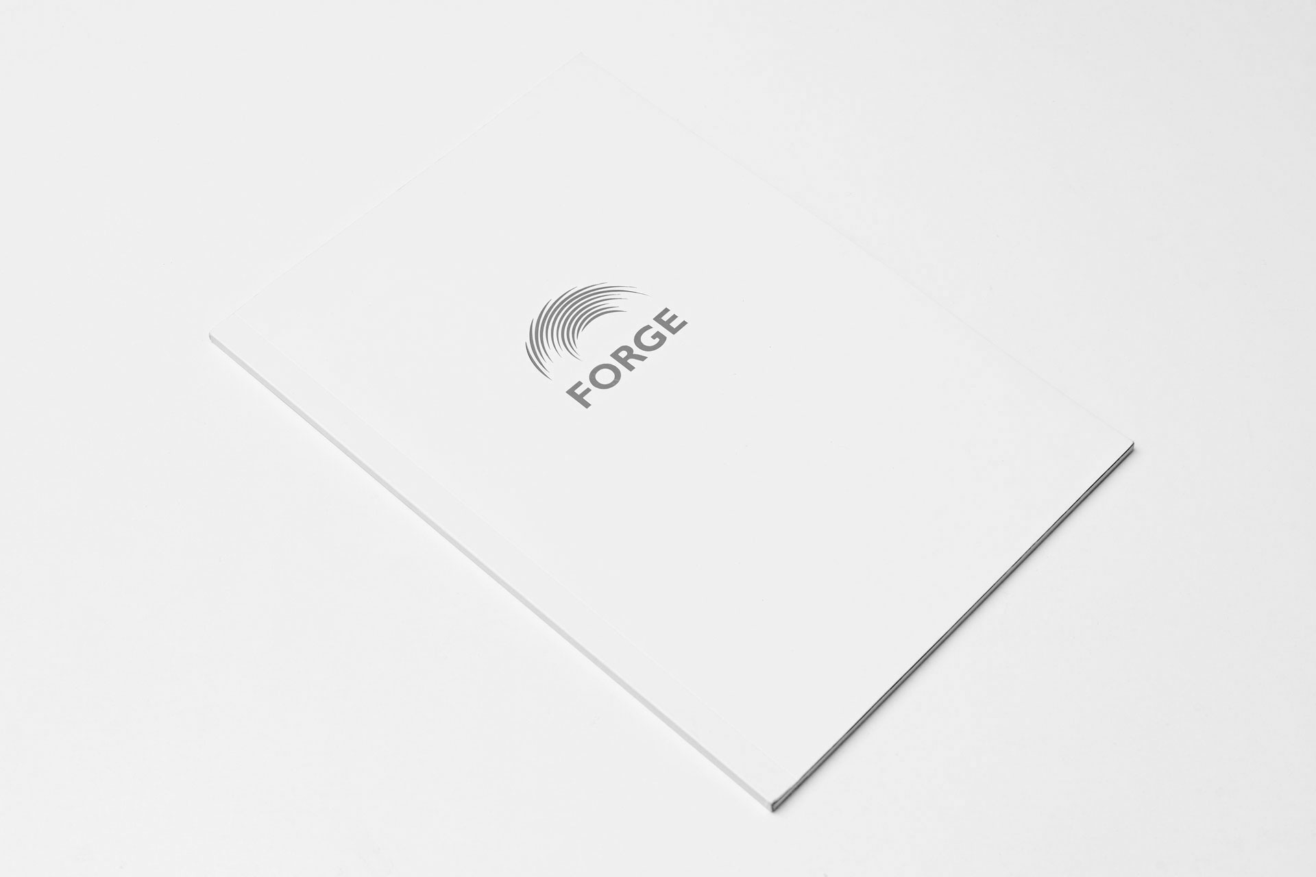 Forge Annual Report